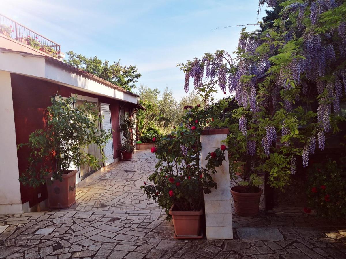 B&B Villa Lena Turi Buitenkant foto