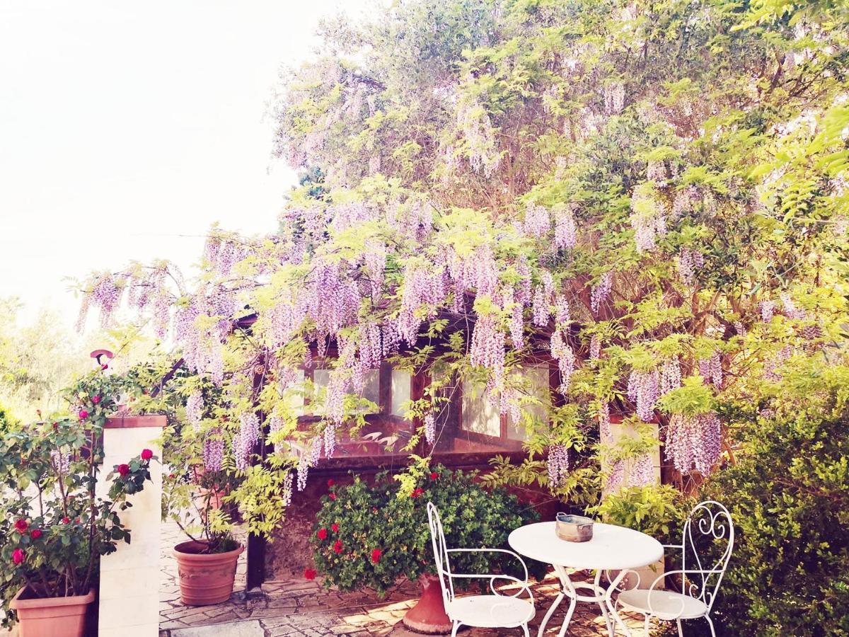B&B Villa Lena Turi Buitenkant foto