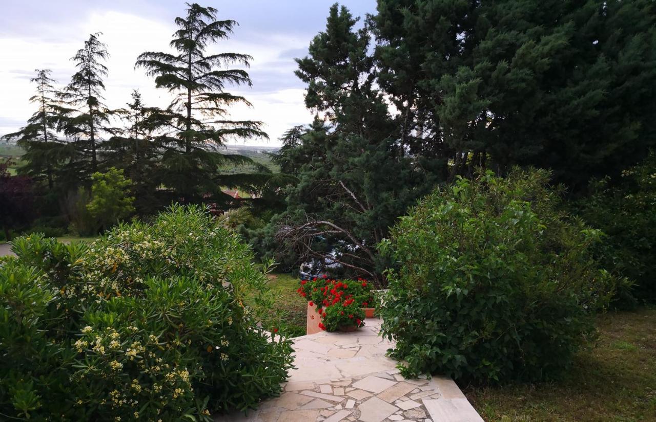B&B Villa Lena Turi Buitenkant foto