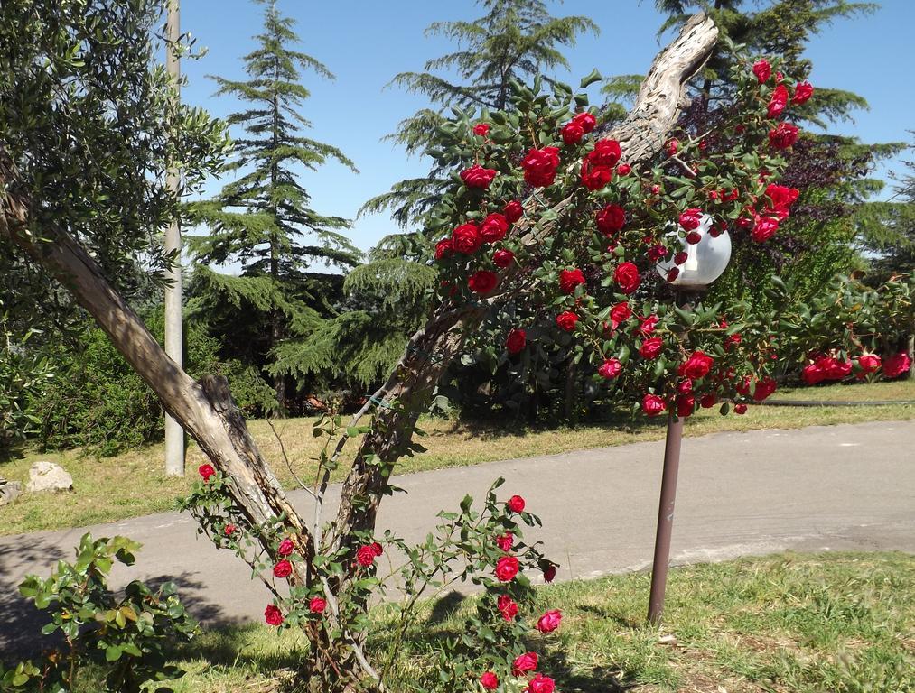 B&B Villa Lena Turi Buitenkant foto
